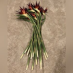 Z Gallerie Bird of Paradise Faux Floral Stems (Set of 18)